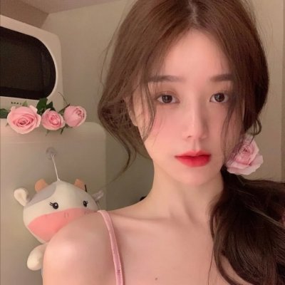 阁下爱鸭